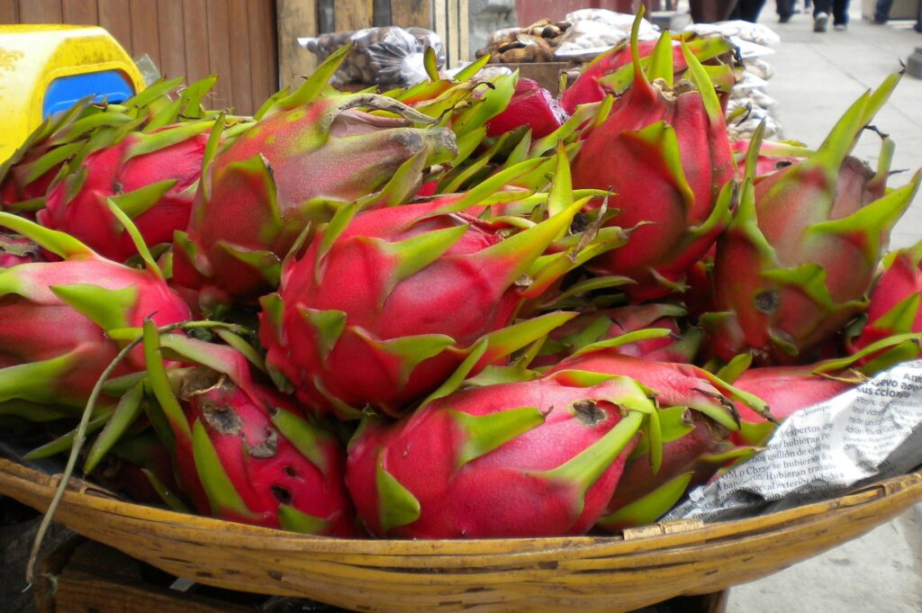 tropical fruit pitahaya in oaxaca market