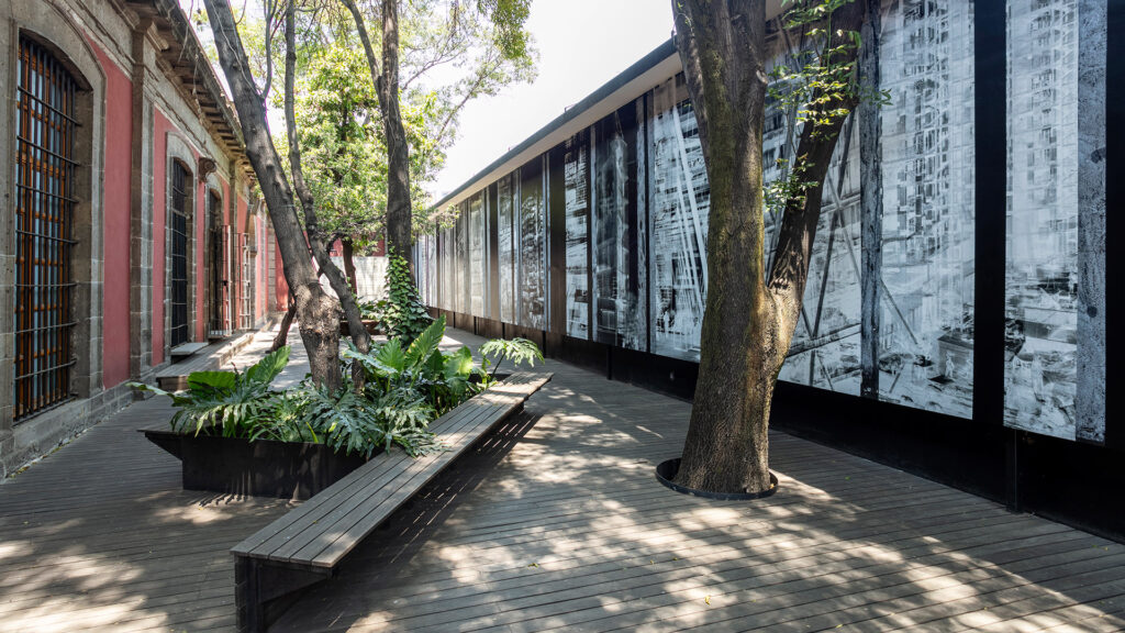 open area with trees, for photography exhibitions