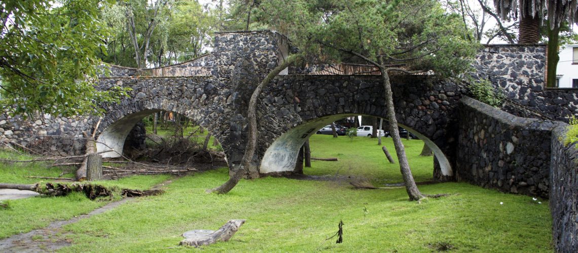 Mexico City Coyoacan private walking tour